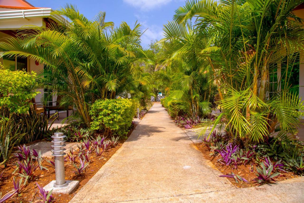 Solare Sai Ecohotel (Adults Only) San Andrés Exterior foto